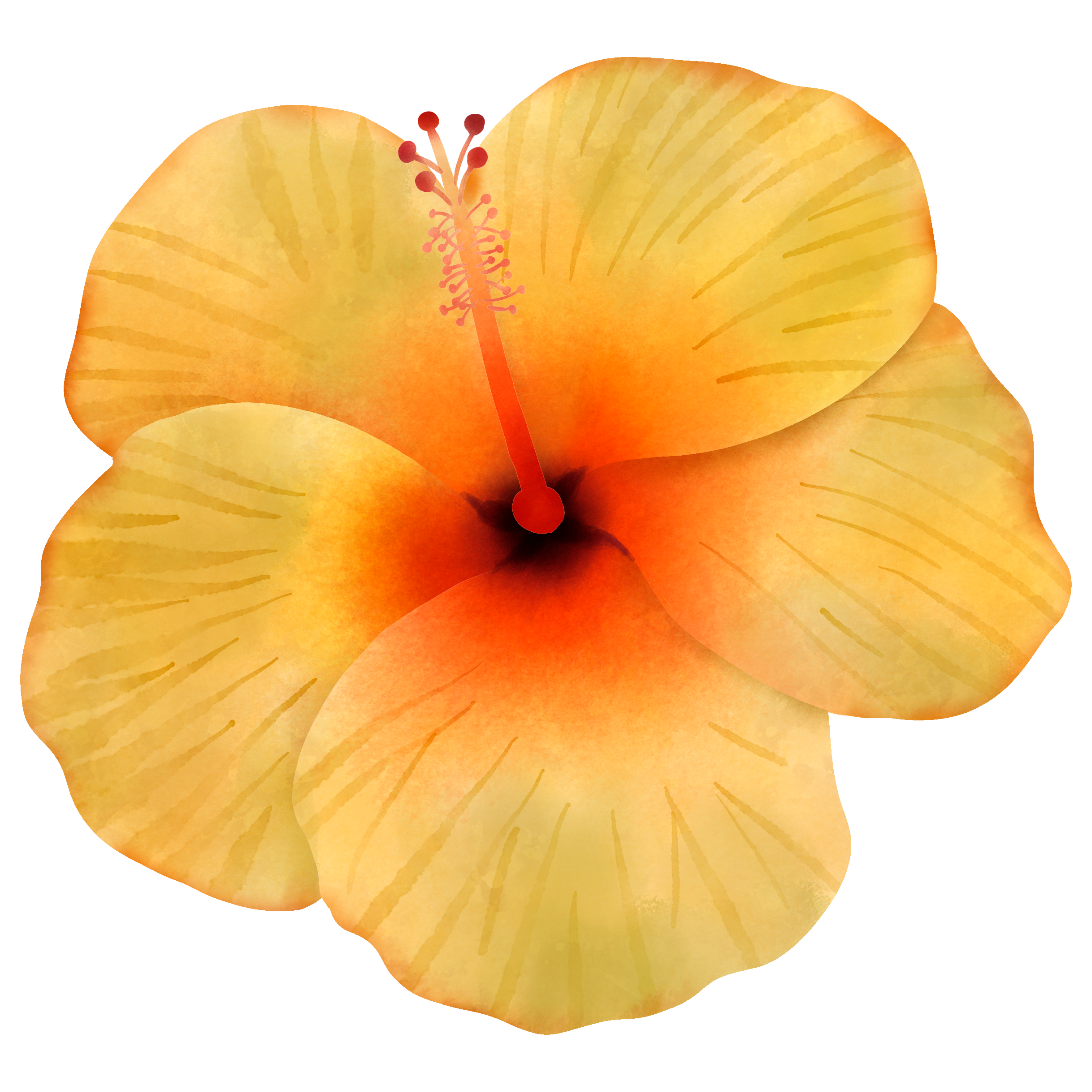 Yellow Flower
